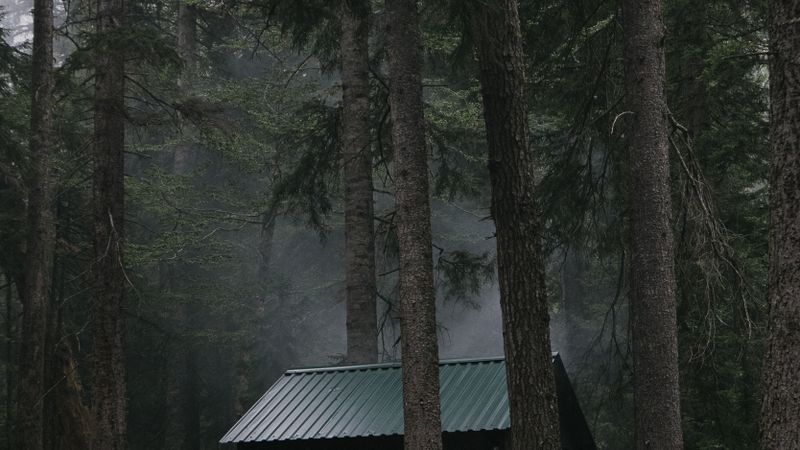 Backcountry trail cabin — remote shelter accessible by hiking trail
