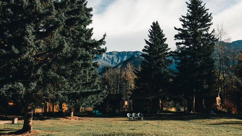 Luxury cabin — modern lodge with porch, rocking chairs, mountain view