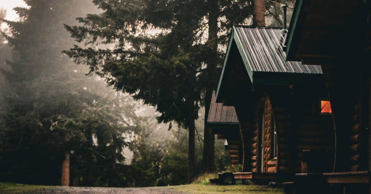 Cabin camping overview — a wooden cabin nestled among pine trees at dusk