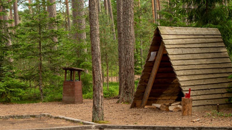 Rustic cabin — basic wooden shelter with fire ring outside